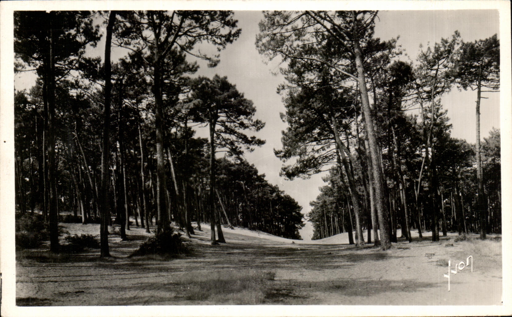 CPA Arcachon Les Dunes De Ville D'Hiver