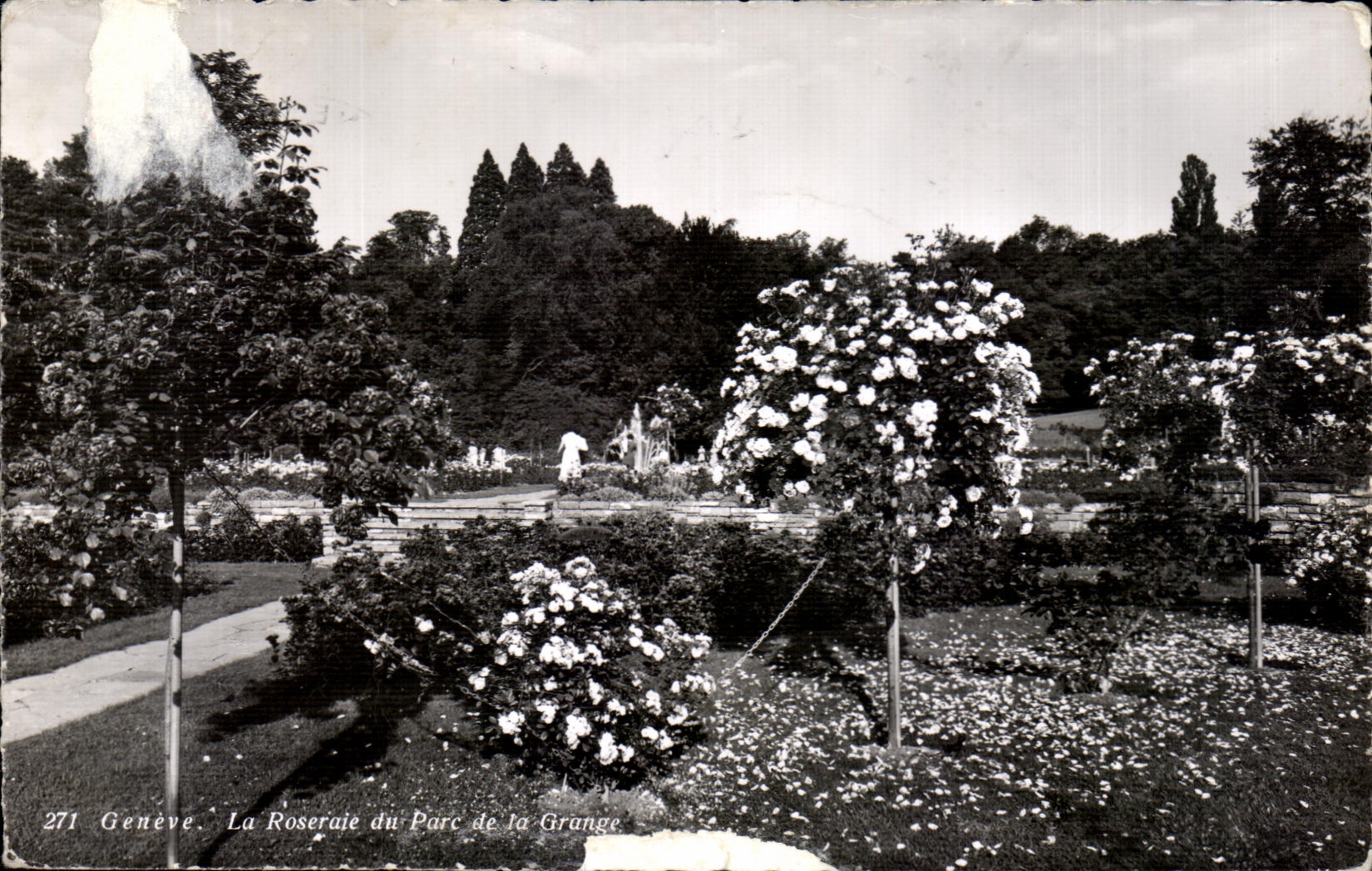 CPA Geneva the Rosery Of the Park Of the Barn