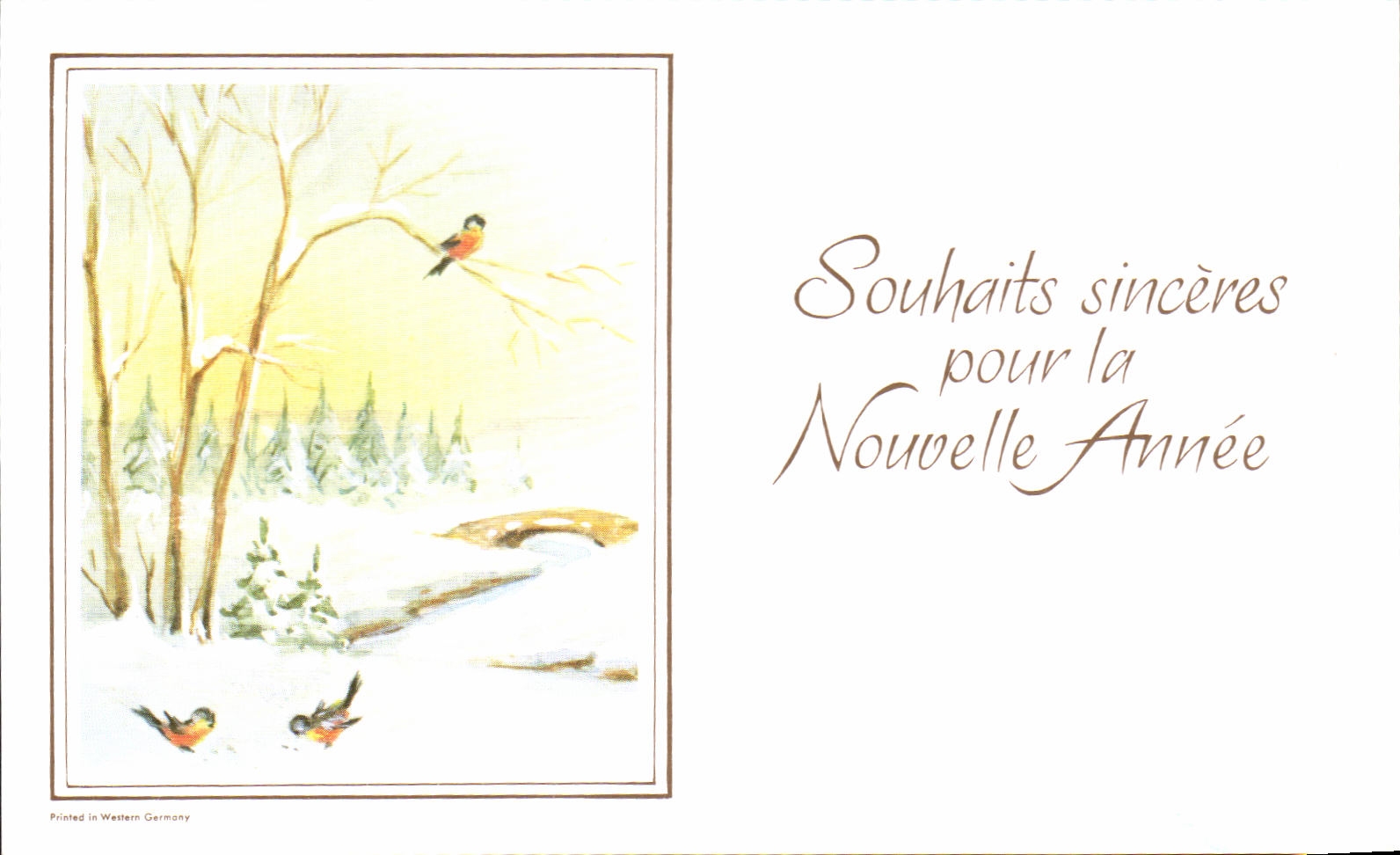 Deseos sinceros de la TARJETA MODERNA por el Ano Nuevo