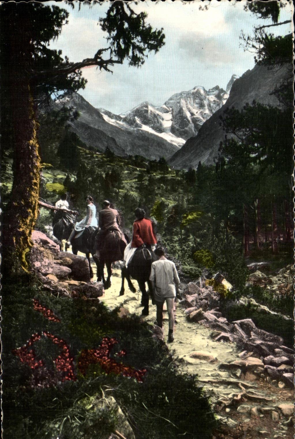 CPSM Cauterets On the way of the Lake Gaube has back of mule