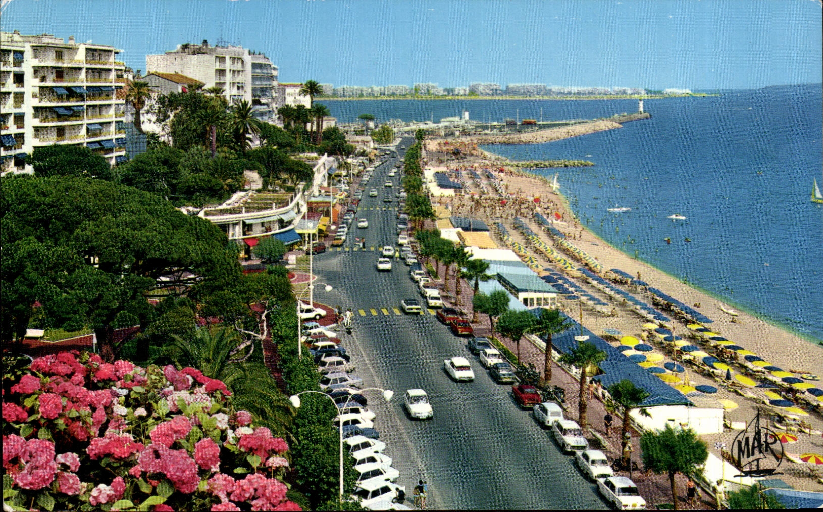 CPSM the Dimension Of Cannes Azure the Beach Of the South