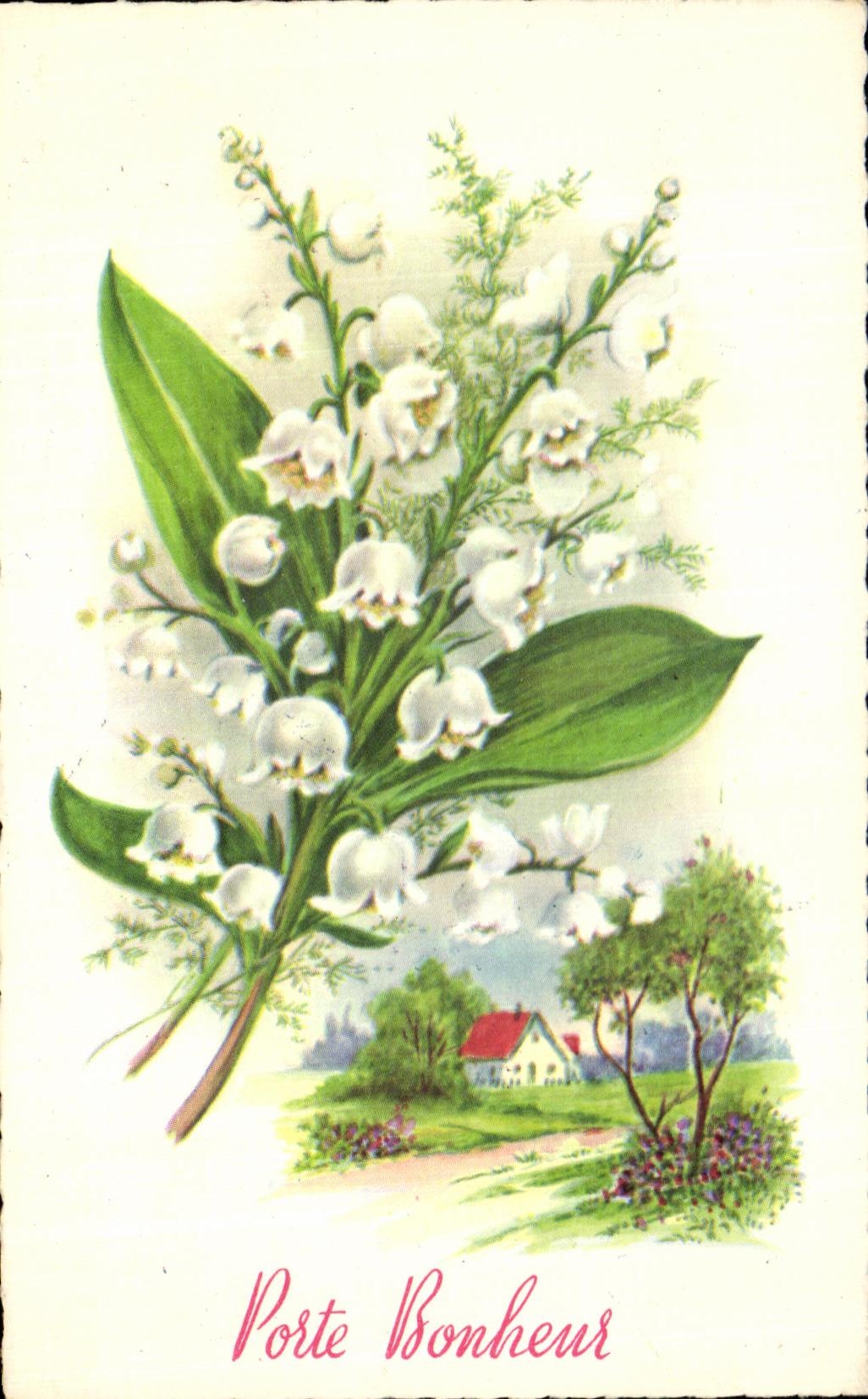 Flores del lirio de los valles de la felicidad de la puerta de CPA