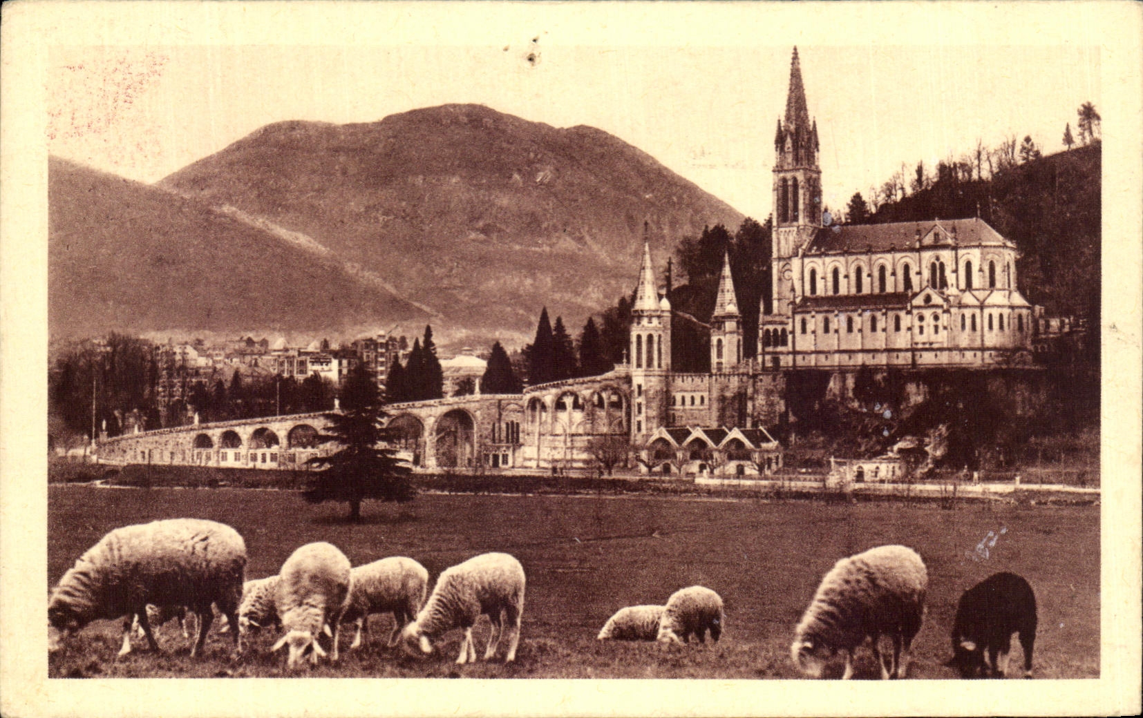 CPA Lourdes the Basilica and the Peak of Jer Sheep