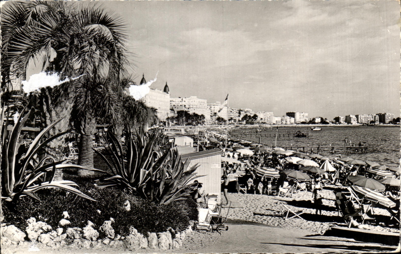 CPA Cannes a Corner of the Gardens and the Place the Small cross