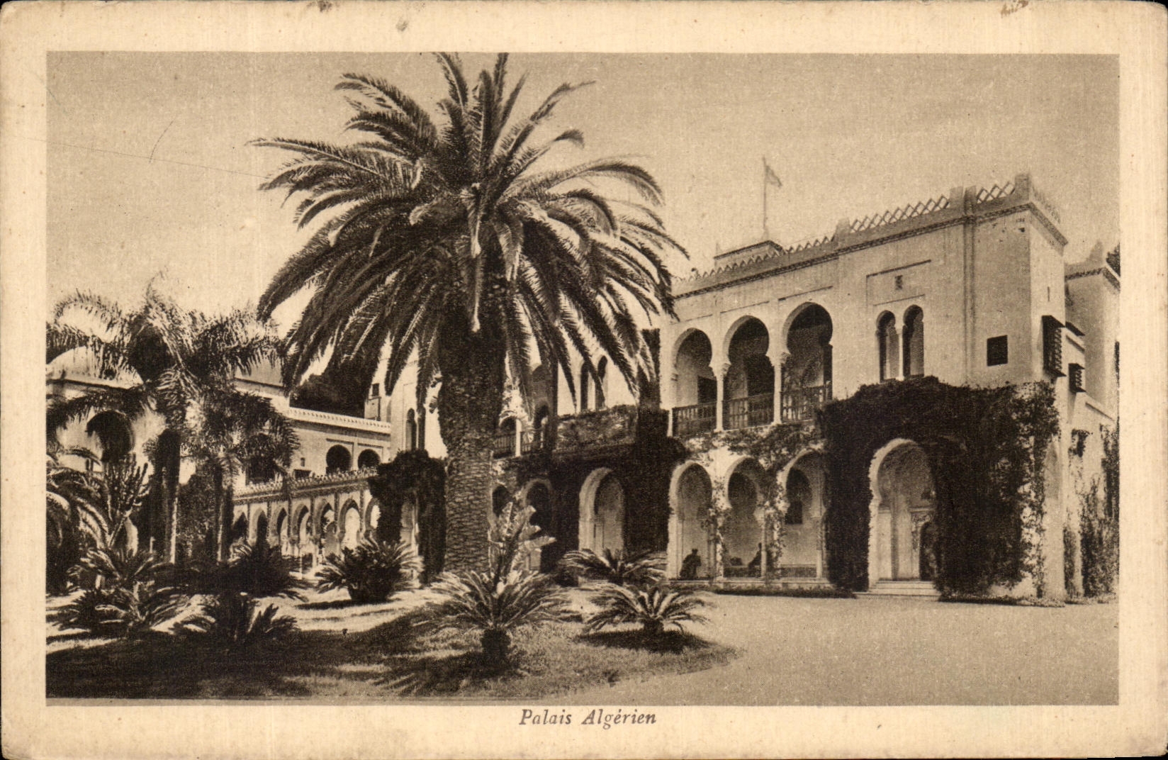 CPA Algerian Palate Algeria