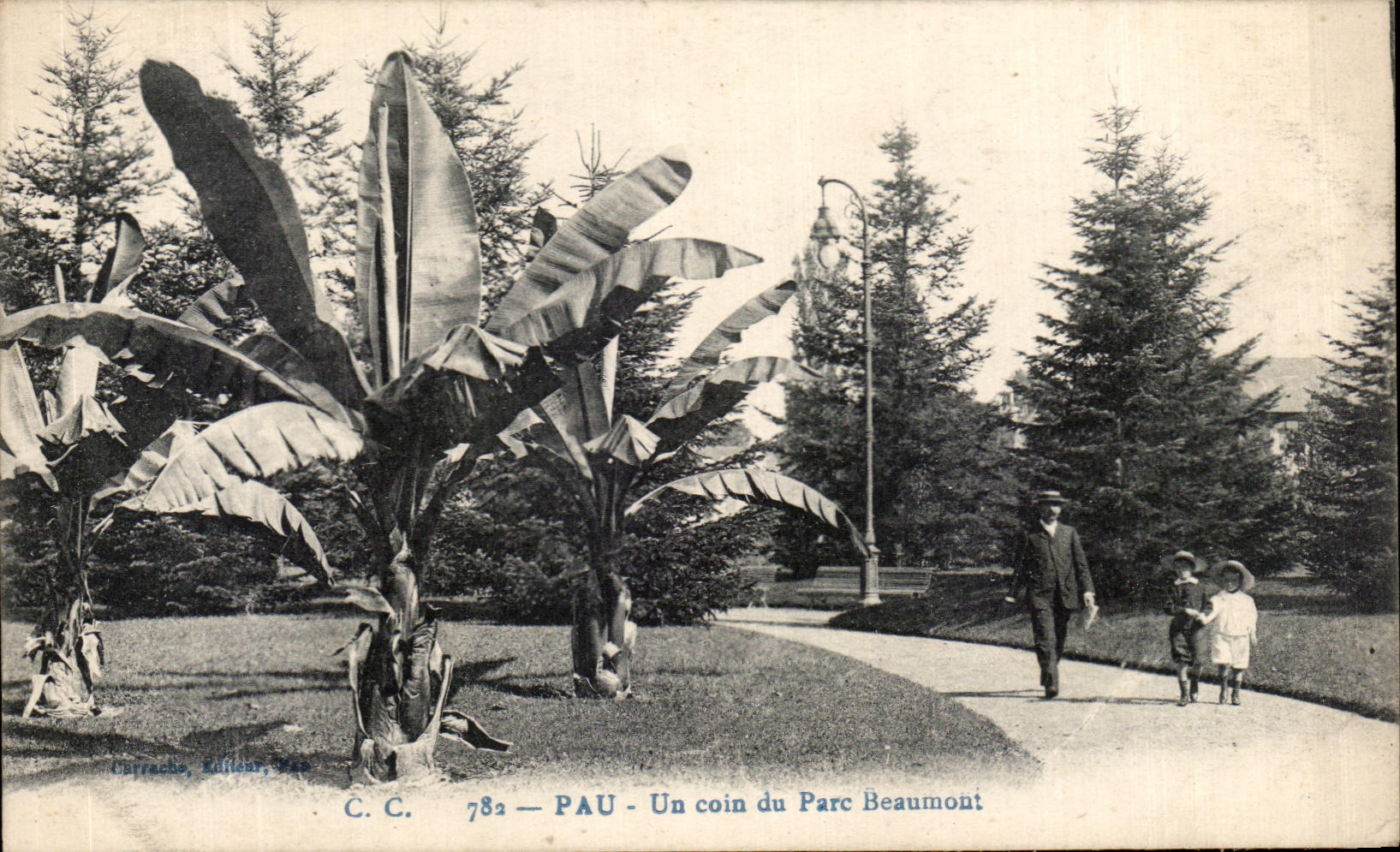 CPA Pau Un Coin du Parc Beaumont