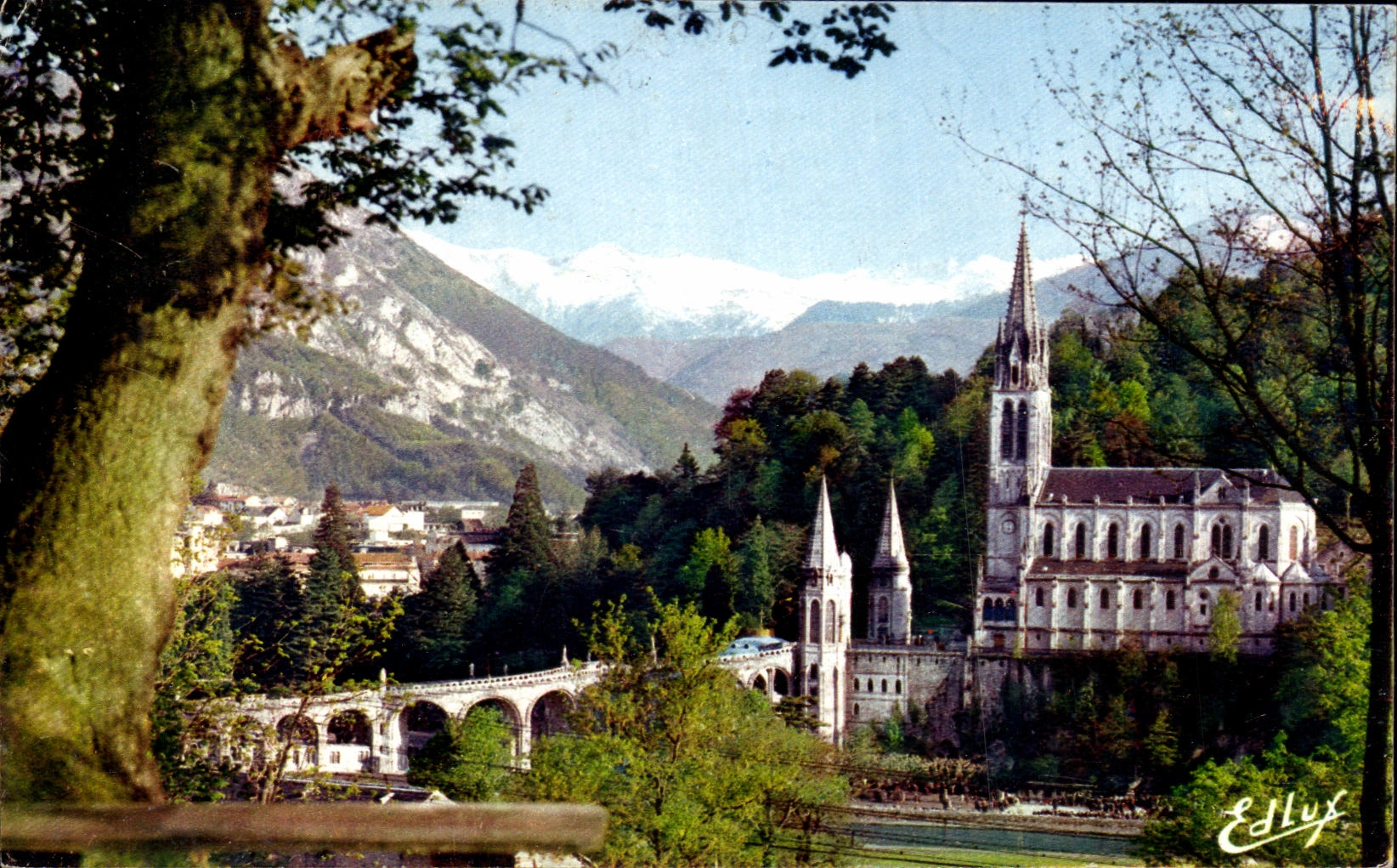 CPSM Lourdes the Basilica And the Peak Of Jer