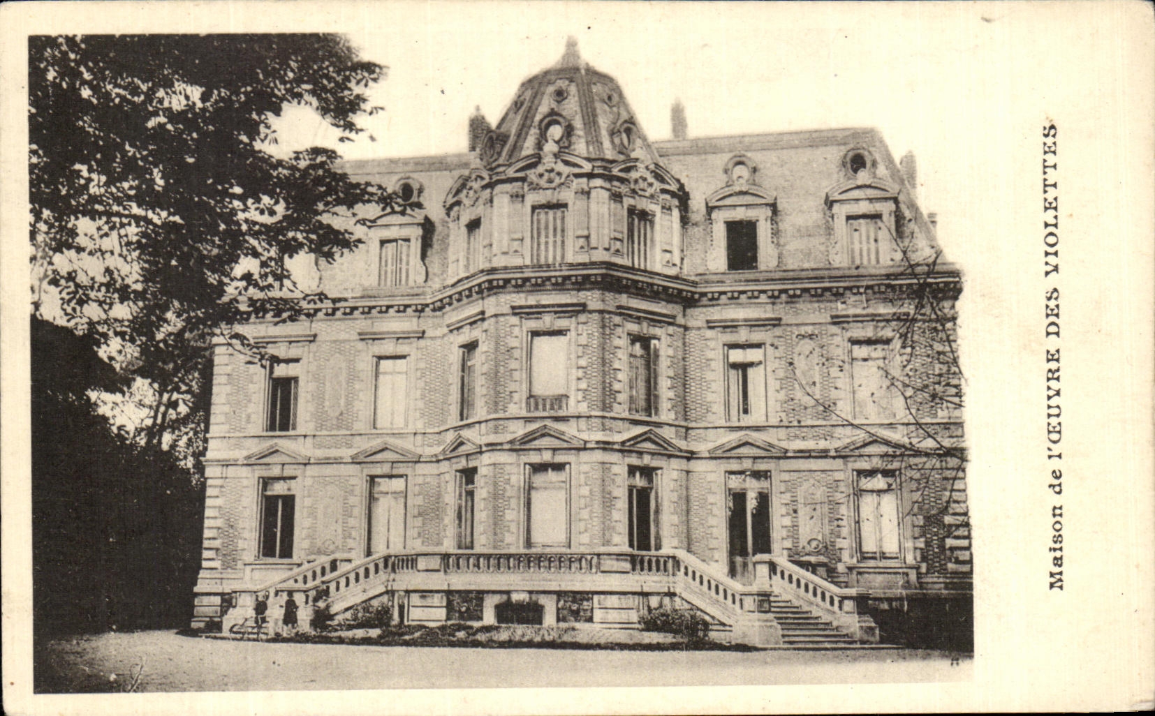 CPA House of ilOeuvre Of the Violets