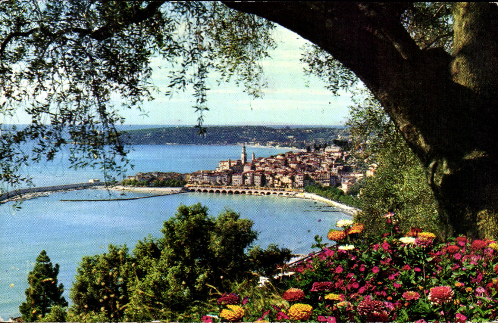 CPSM Menton Escaped between the flowers and the olive-trees