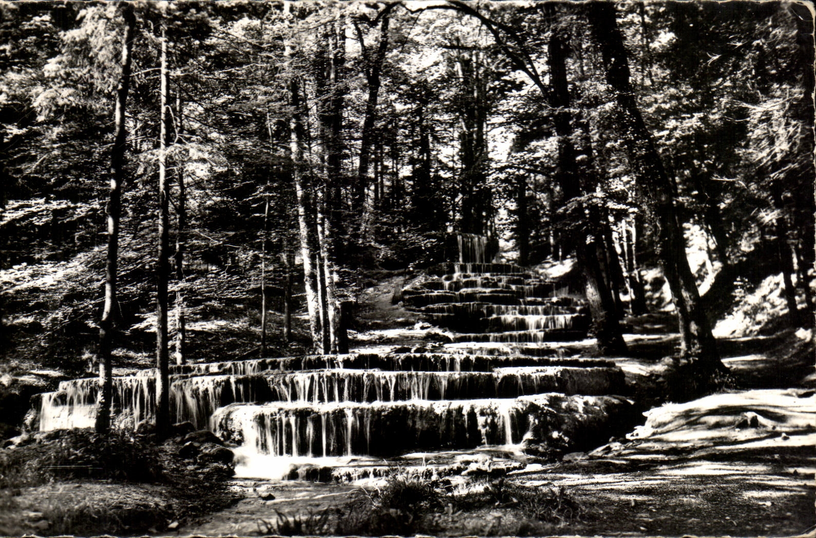 CPSM the High Picturesque Marne Cascades petrifying D' Etuf