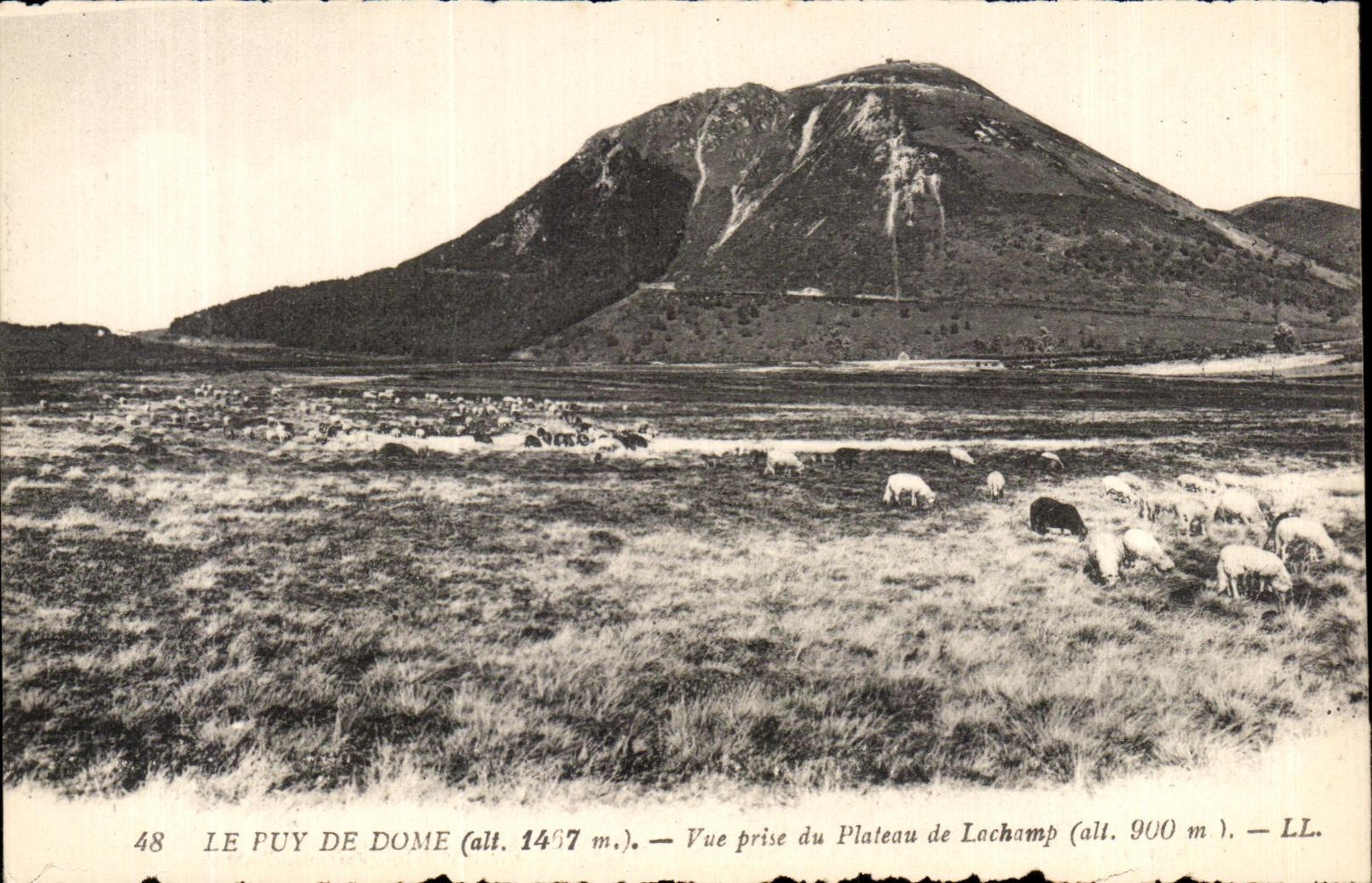 CPA Lae Puy De Dome Seen from of the Plate of Lochamp Sheep