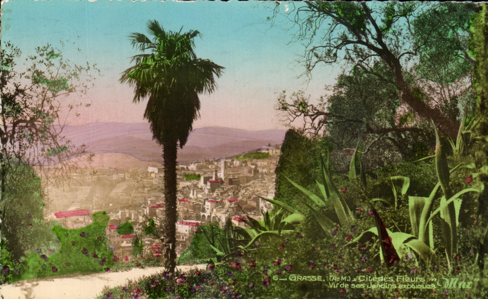 CPA graso la ciudad de la vista de las flores de sus jardines exoticos