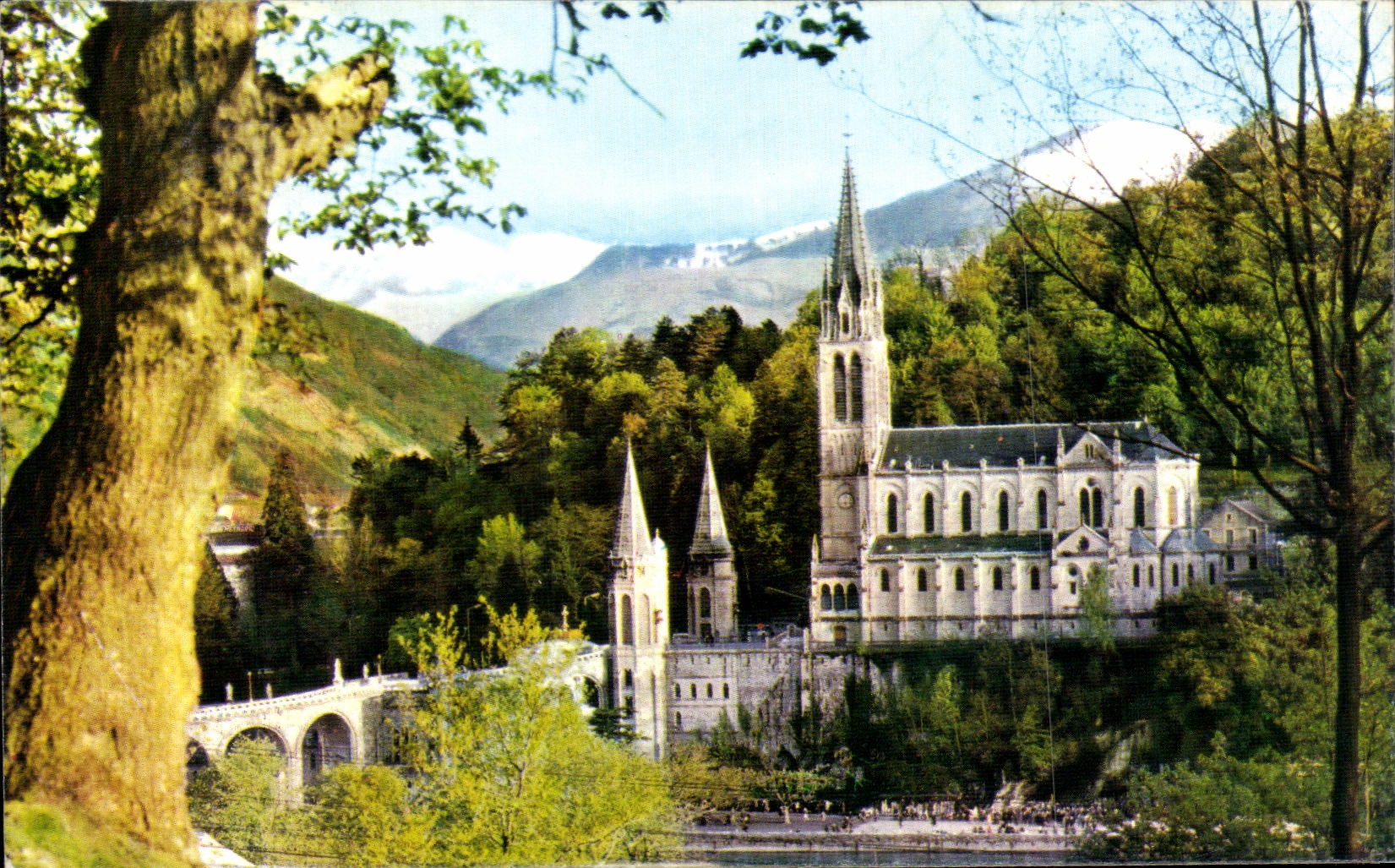 MODERN CARD Lourdes the Basilica and the Peak of the jer