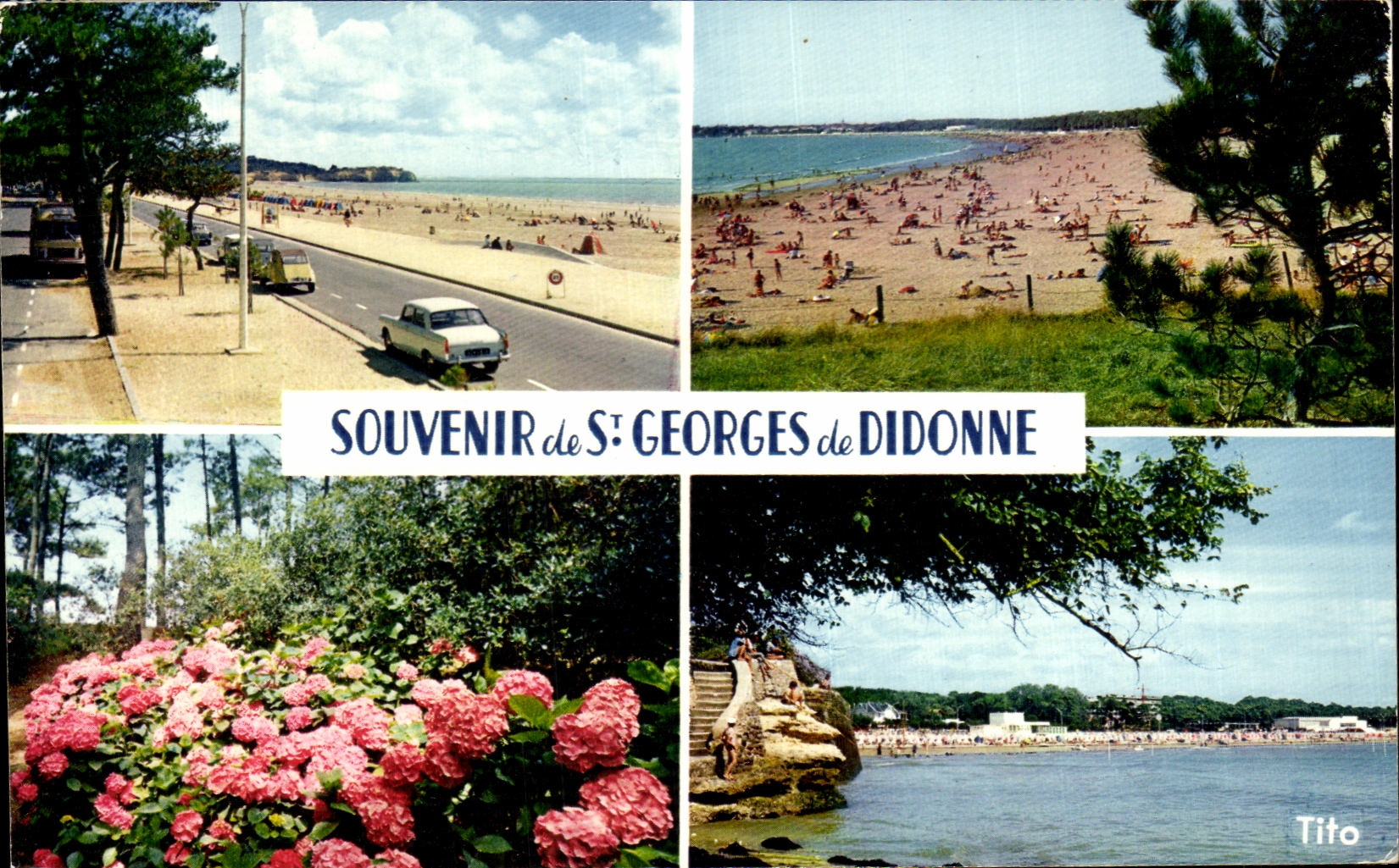 CPSM Souvenir of St Georges de Didonne