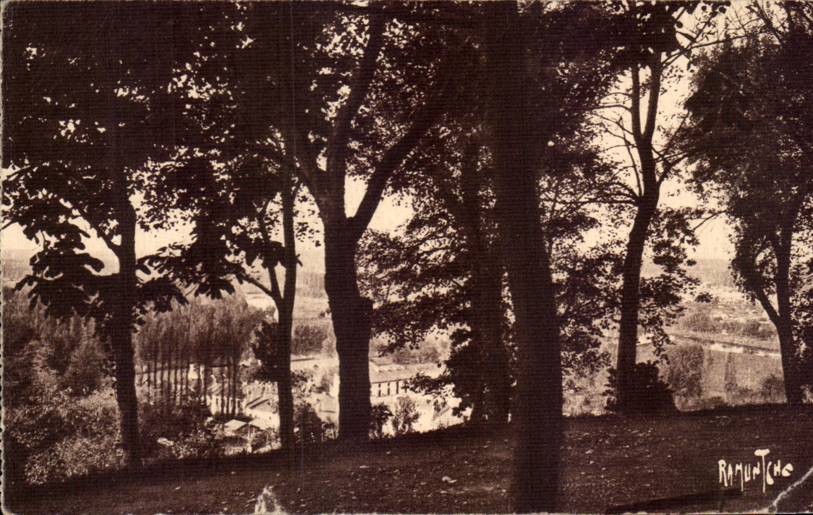 CPA Angouleme Au Jardin Public Angouleme 