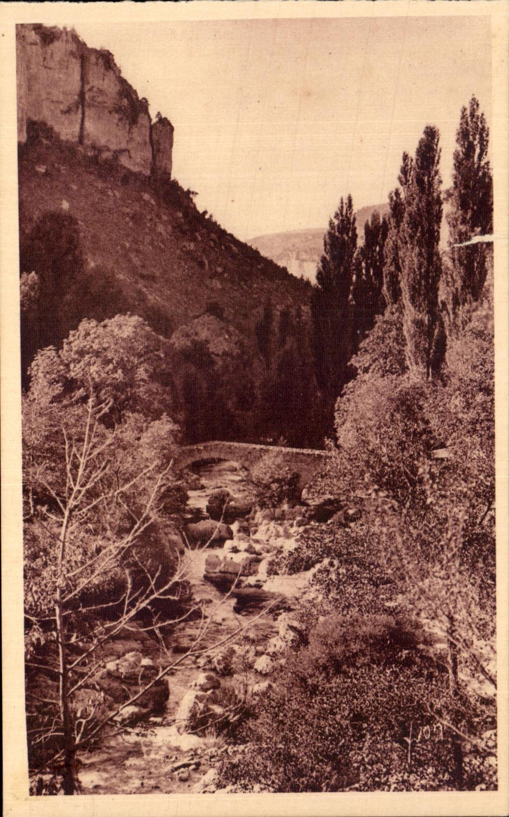 CPA Soft France Falls of the Tarn the Gun Of Jonte