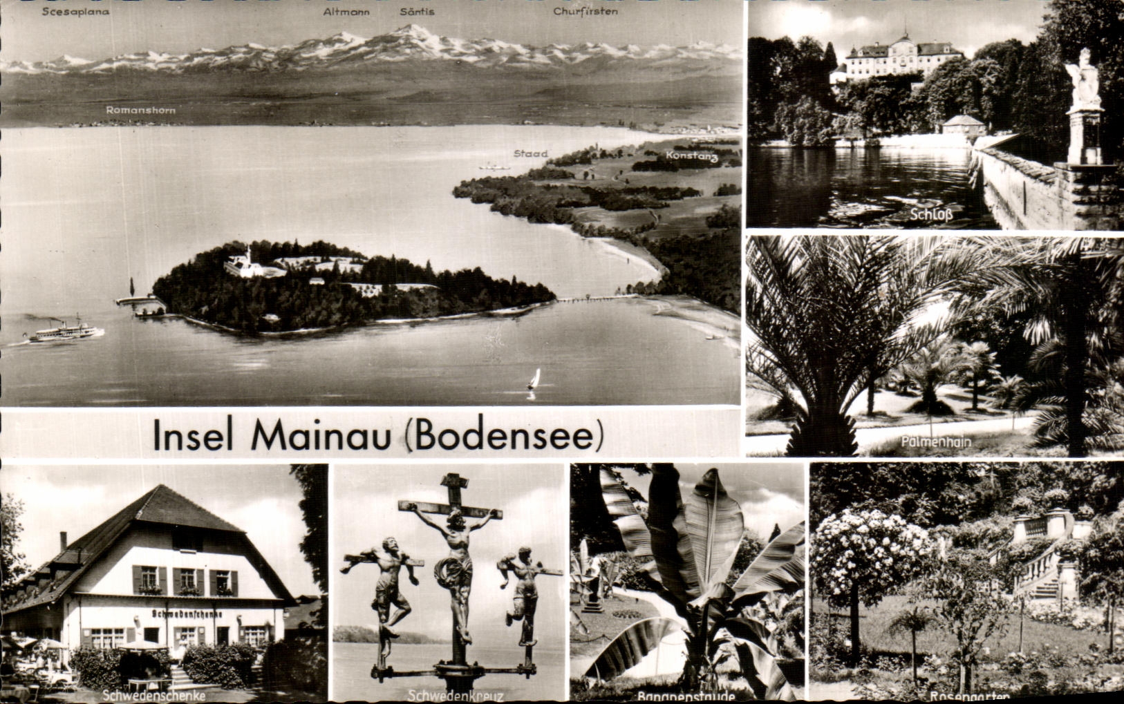 CPA Insel Mainau Bodensee