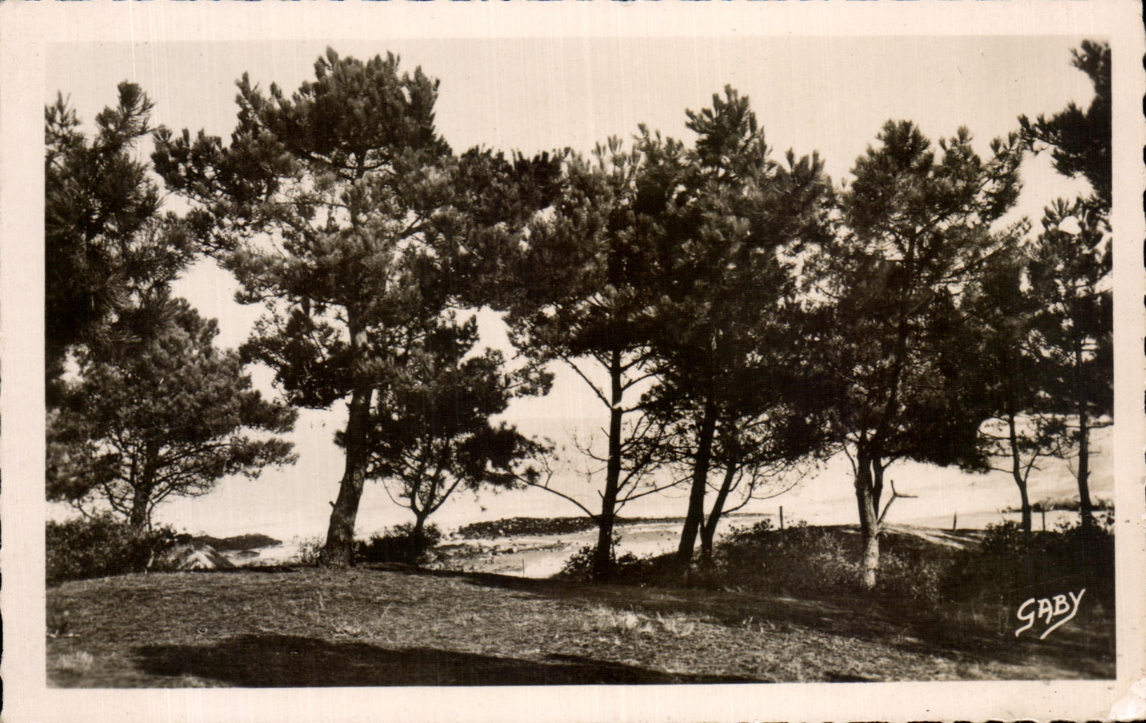 Mar del oceano de Brevin I del santo de CPA a traves de los pinos