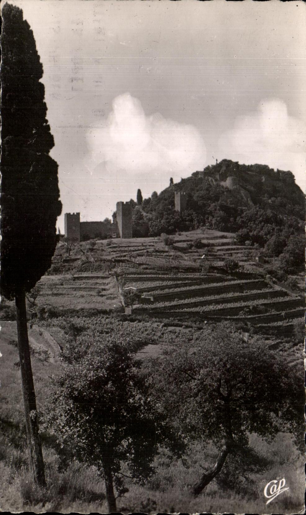 CPA Hyeres Palmiers Le Chateau