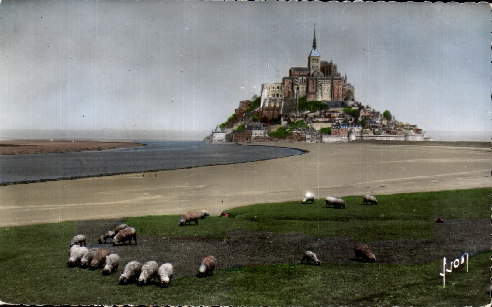 CPSM Mont Saint Michel View and Couesnon Sheep