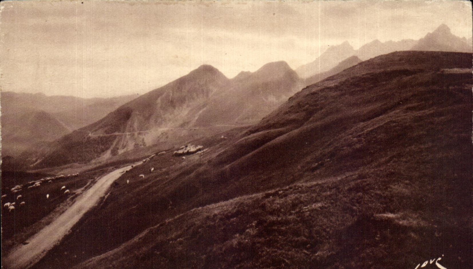CPA thermal Road of the collar of Aubisque pastures at the roadsides