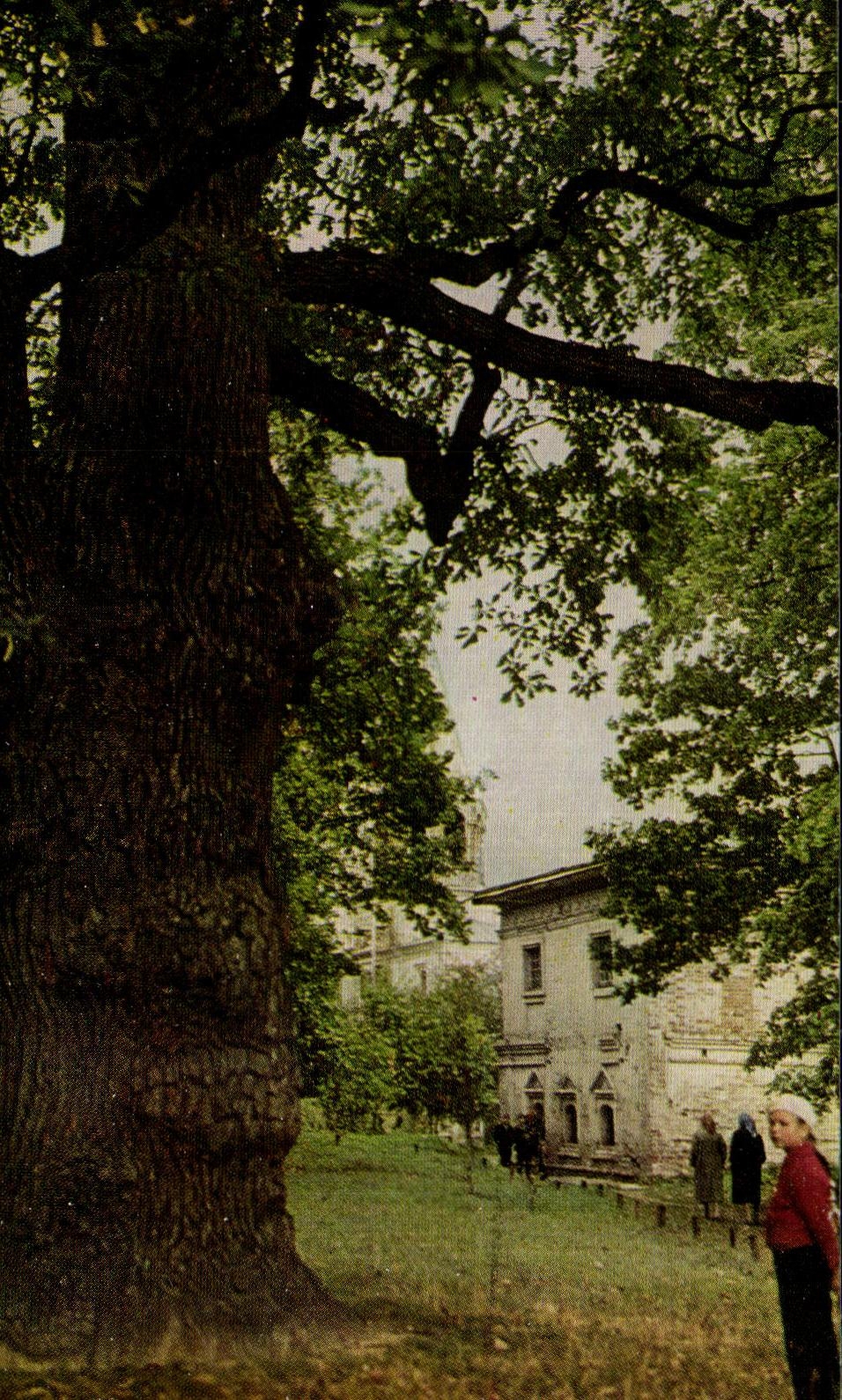 CPA Russia Kolomenskoye Old park