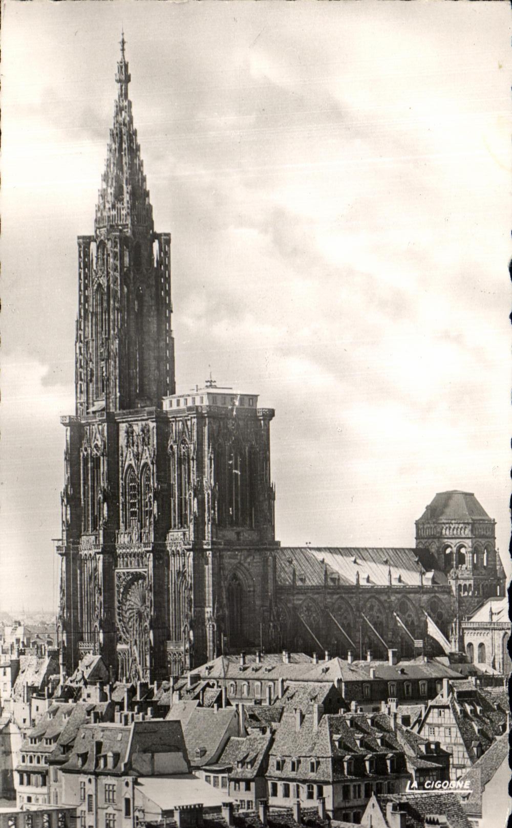 CPA Strasbourg the Cathedral