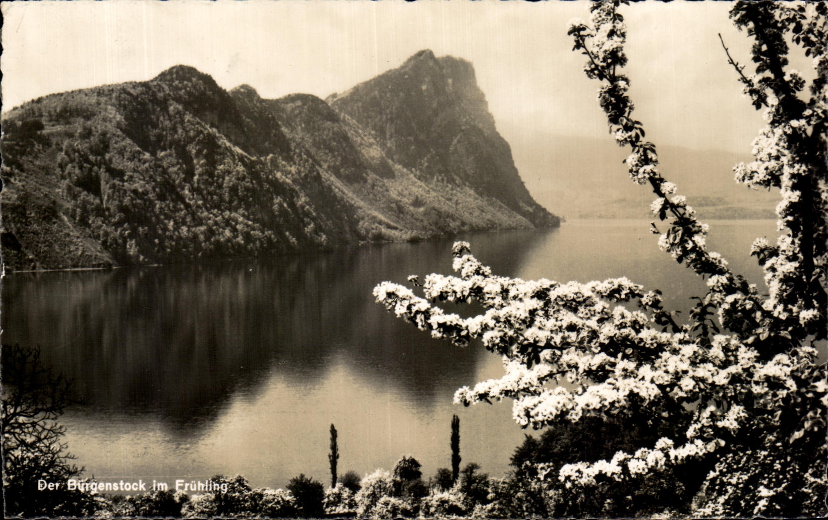CPA Der Burgenstock im Fruhling