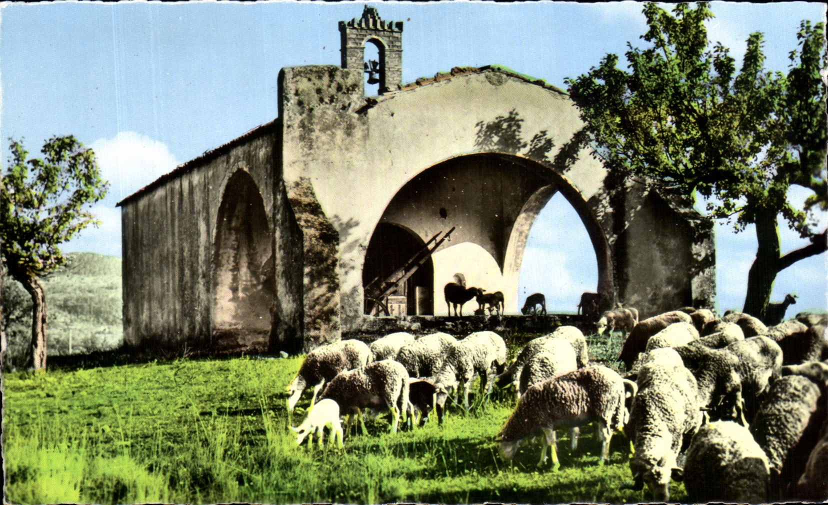 CPSM La Provence Une Vielle Chapelle Moutons