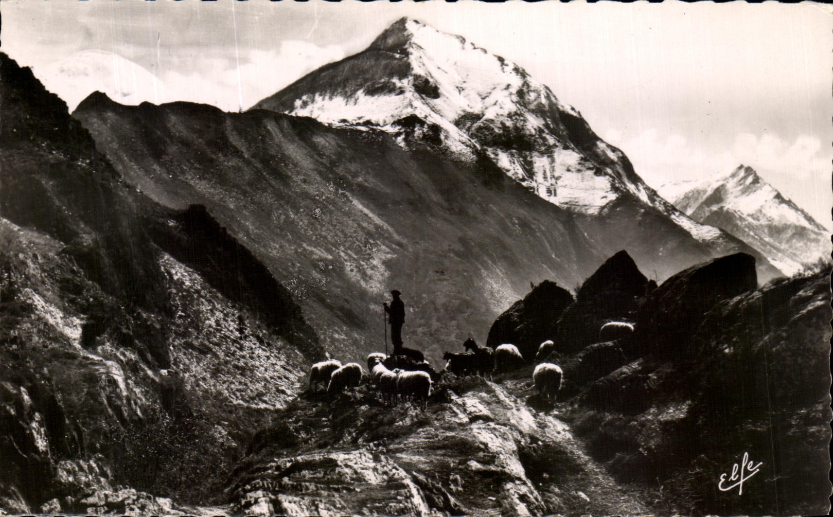 CPA Pyrenean Tabeaux a Herd In Houte Mountain