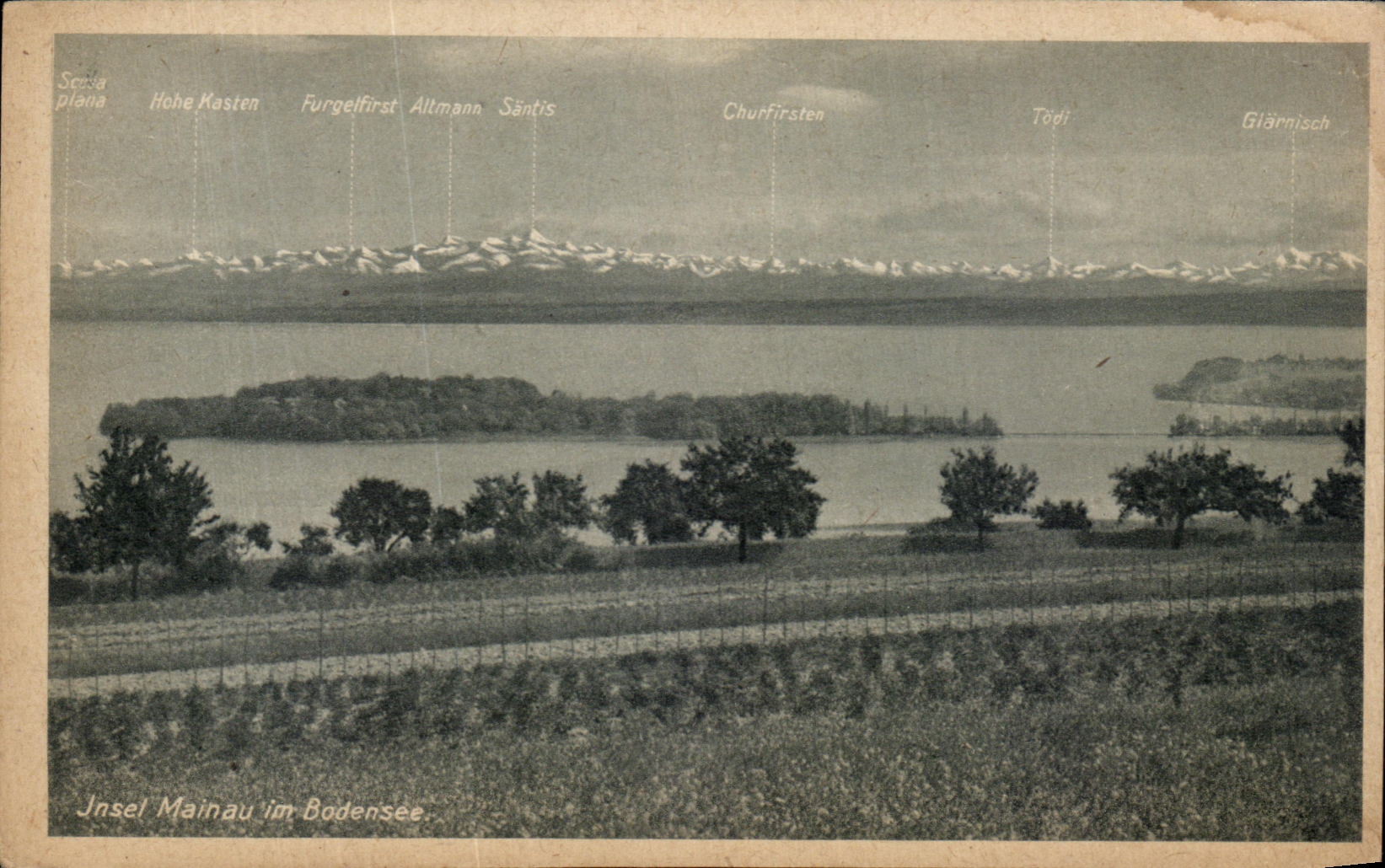 CPA Insel Mainau Im Bodensee
