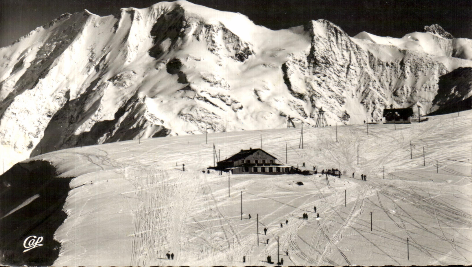 CPA the Mount Of Alpine laburnum In the Aunt