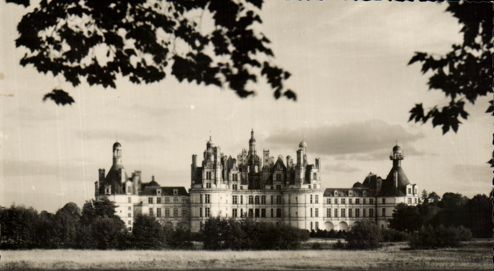 CPSM Chateau de Chambord