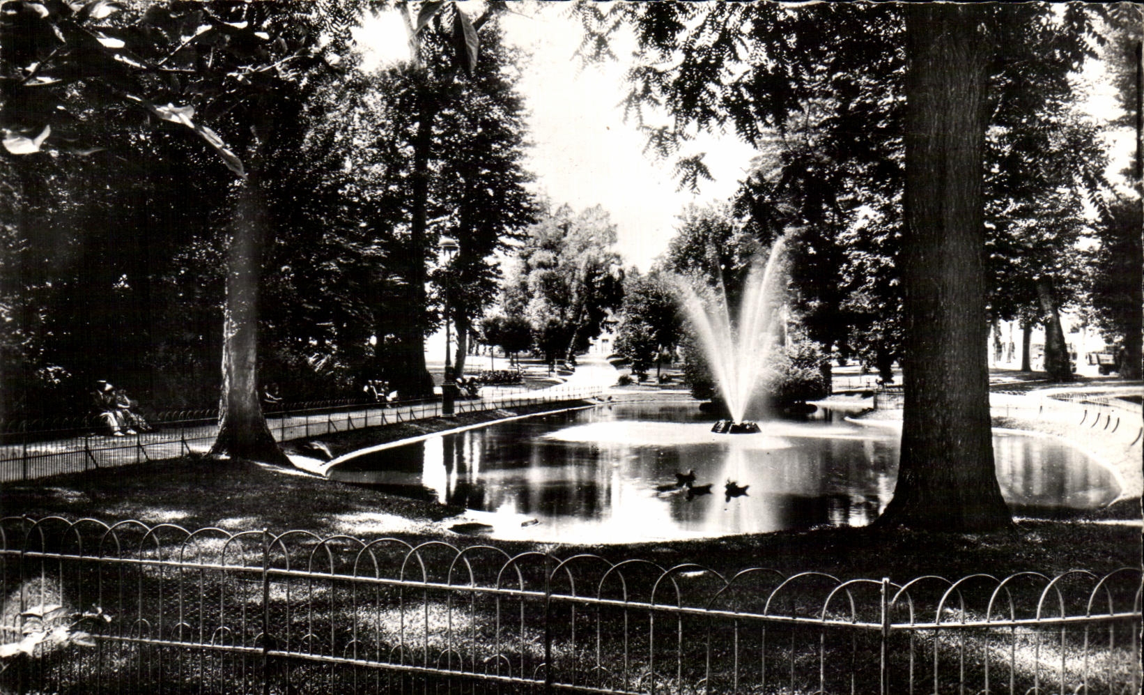 CPA Vichy Jardins des bords de l'Allier Bassin des Cygnes