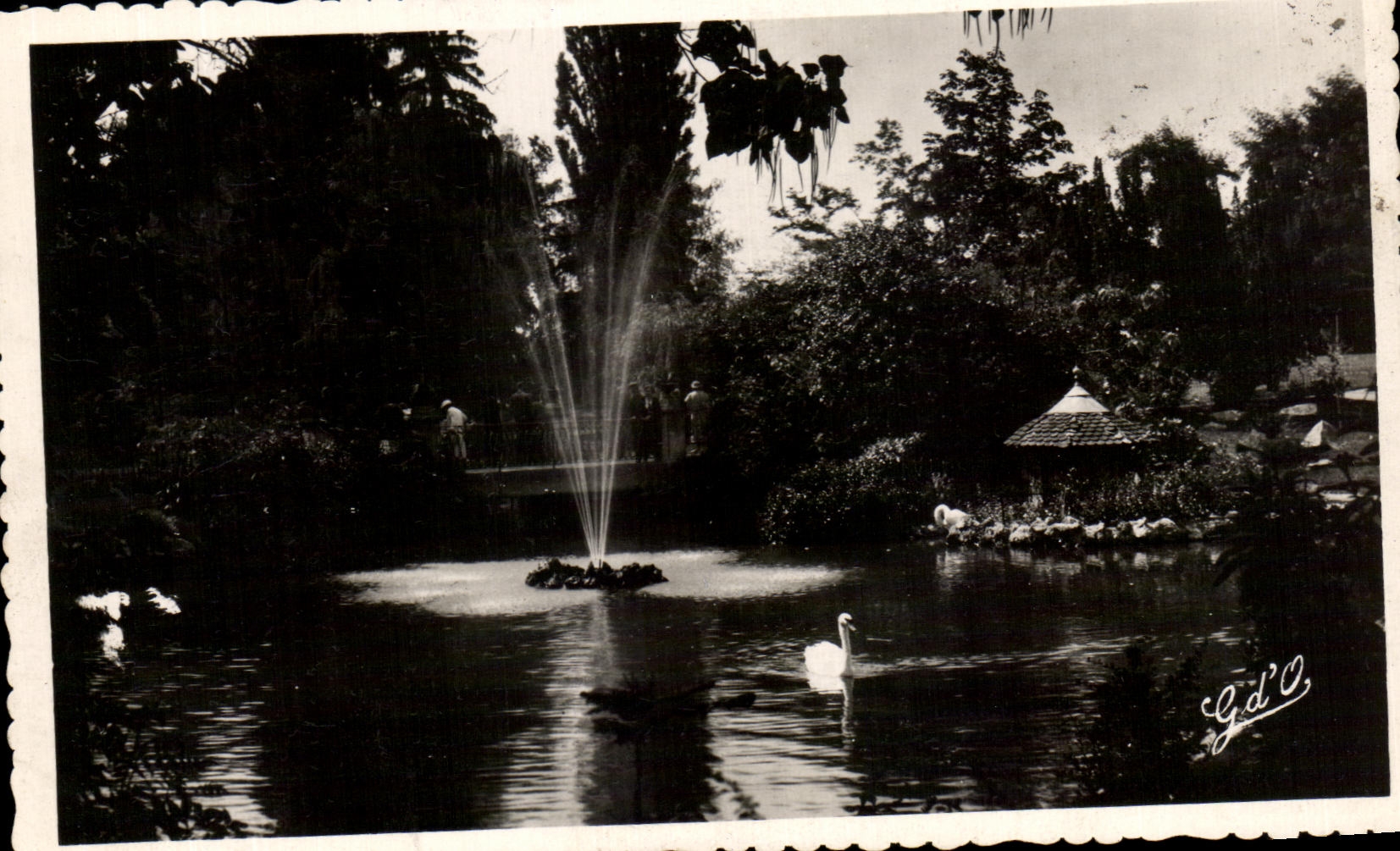 CPA Vichy Bassin des Cygnes