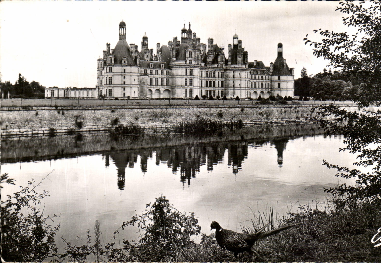 CPA Le Chateau de Chambord Le Chateau vu des bords du Cosson