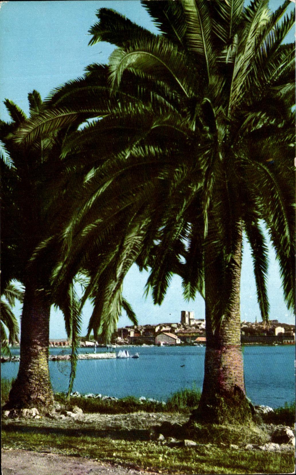 CPSm Antibes vista en viejo la palmera