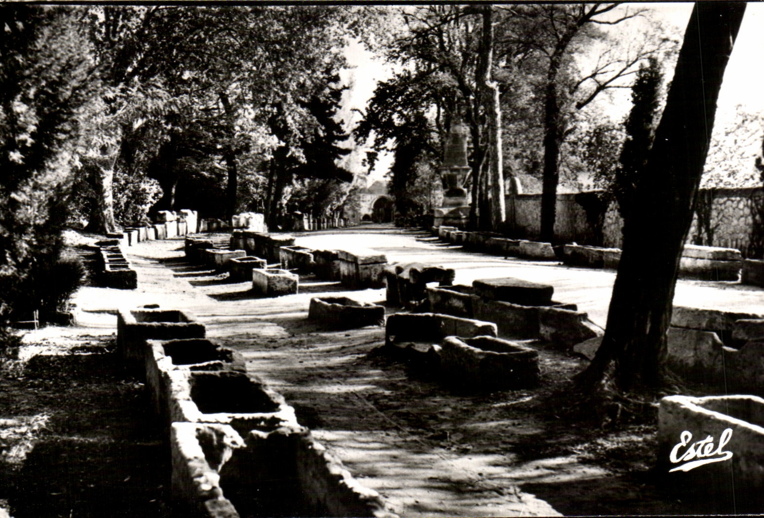 CPA Arles Alycamps Allee of the Tombs