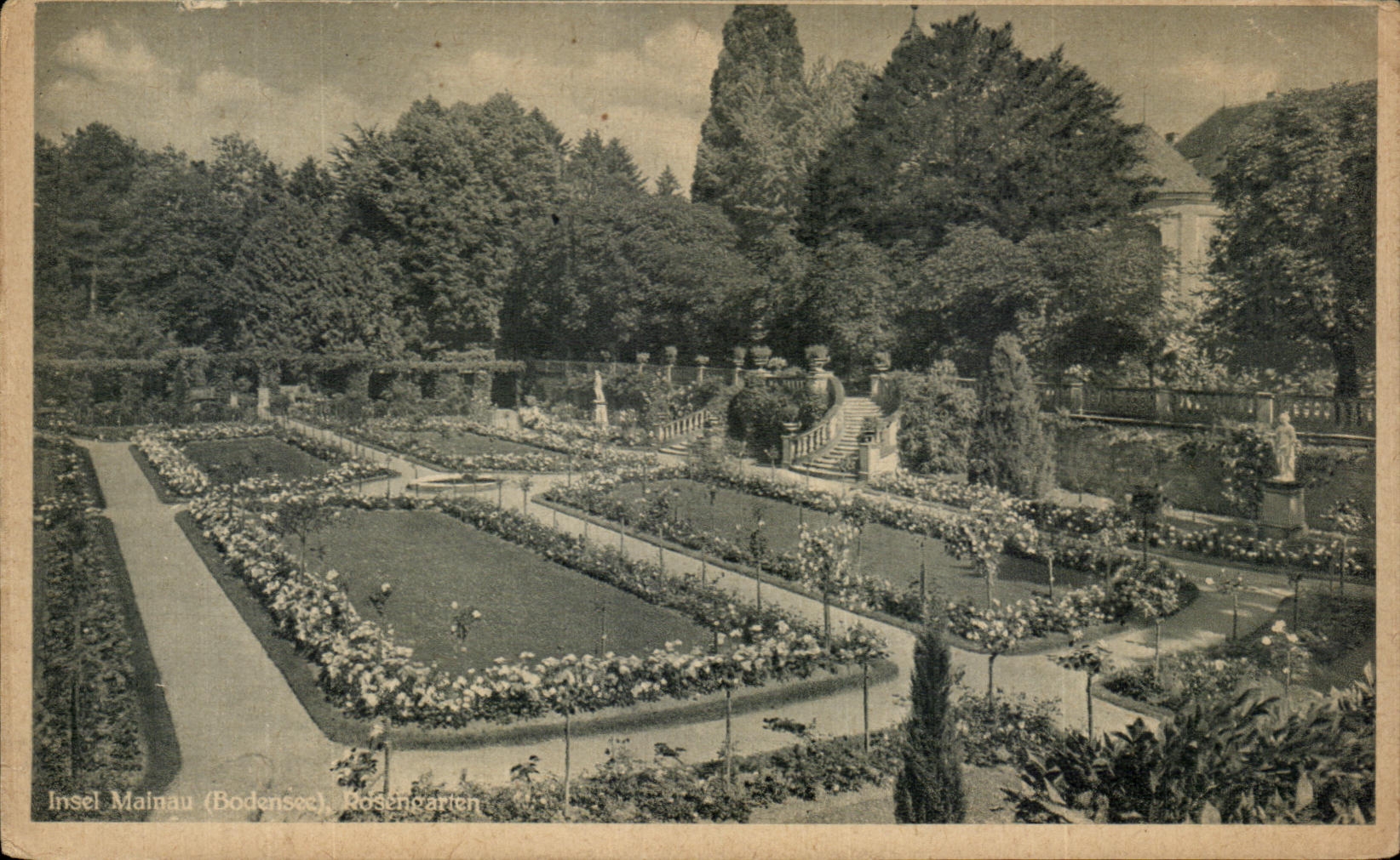 CPA Insel Mainau Rosengarten