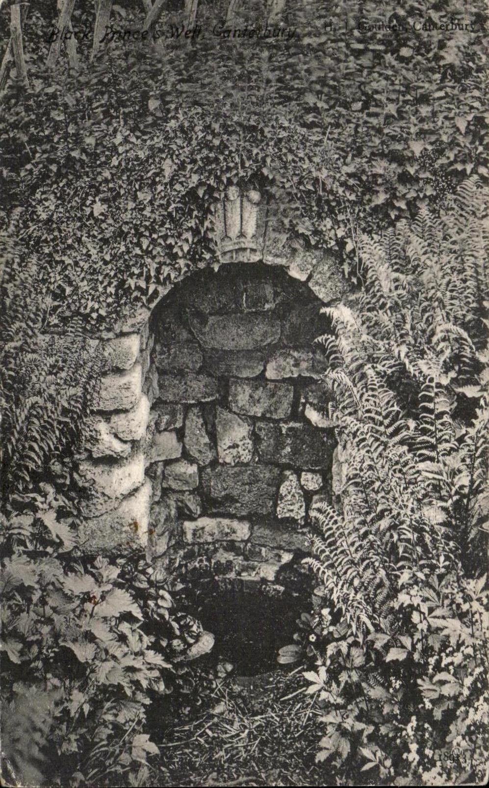 CPA Canterbury Black Prince' S well