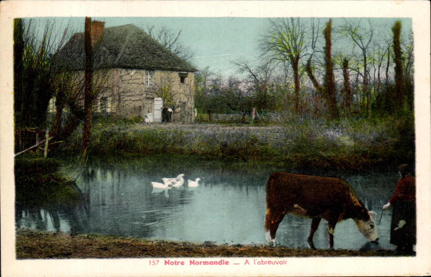 CPSM Our Normandy With the feeding trough Cow