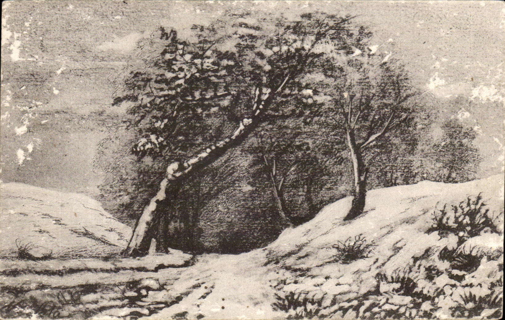 CPA Landscape under snow