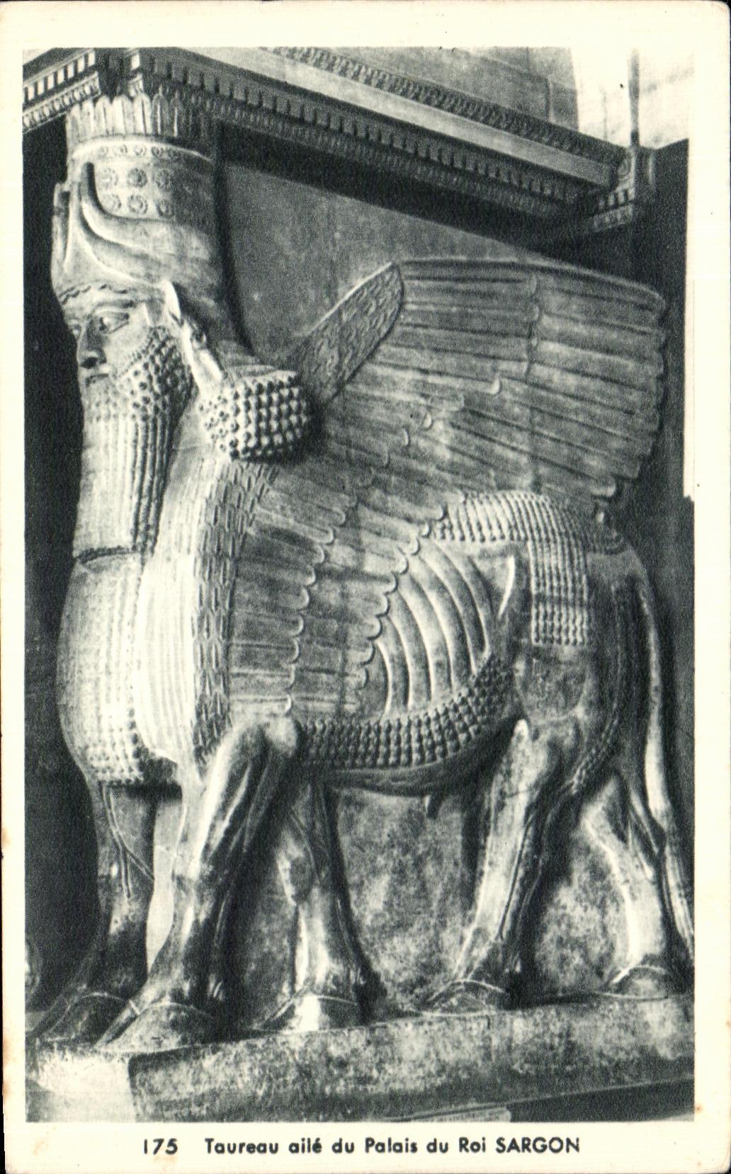 CPSM Bull wing of the Palate of King Sargon