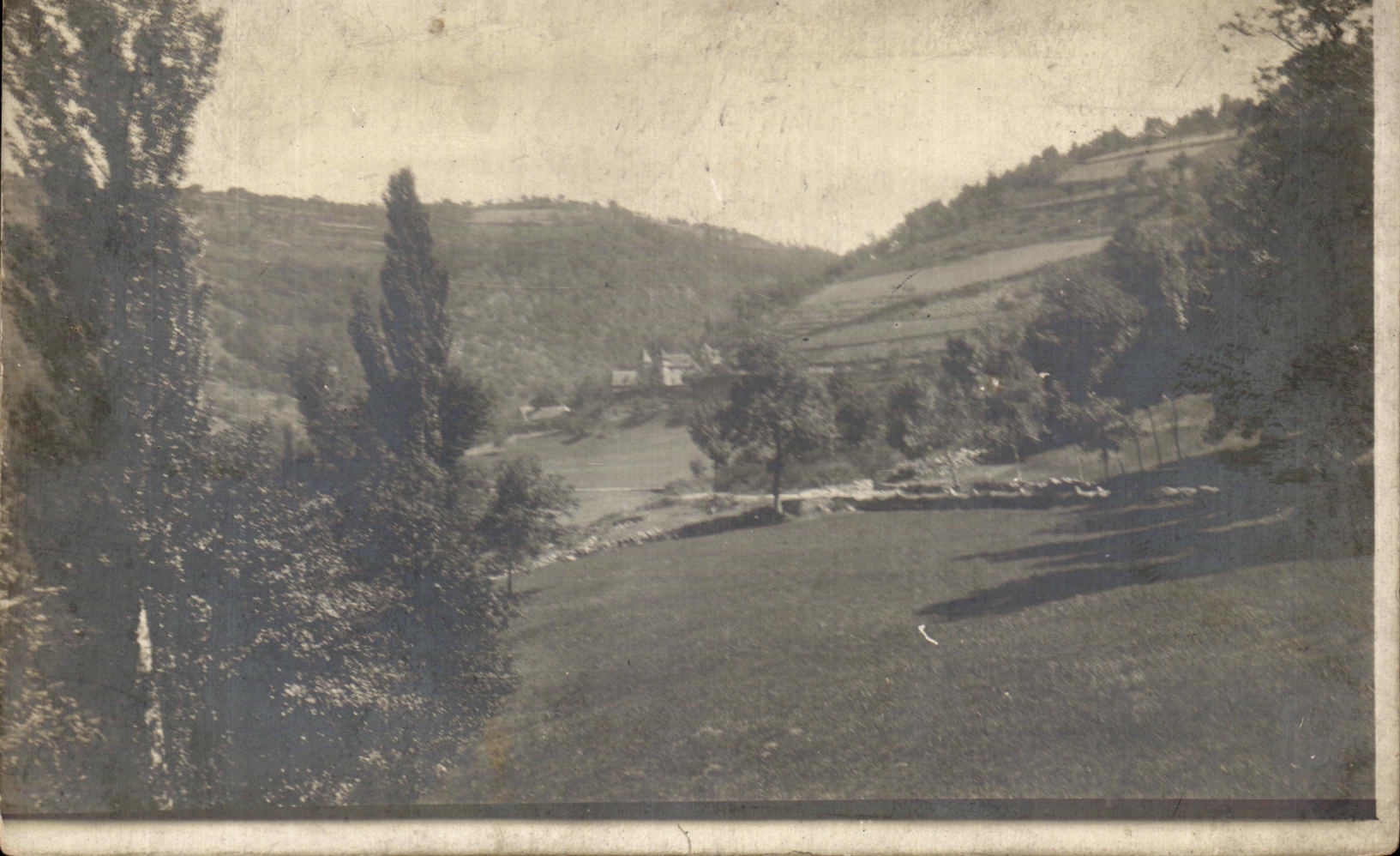 Real photo (nonlocalized)