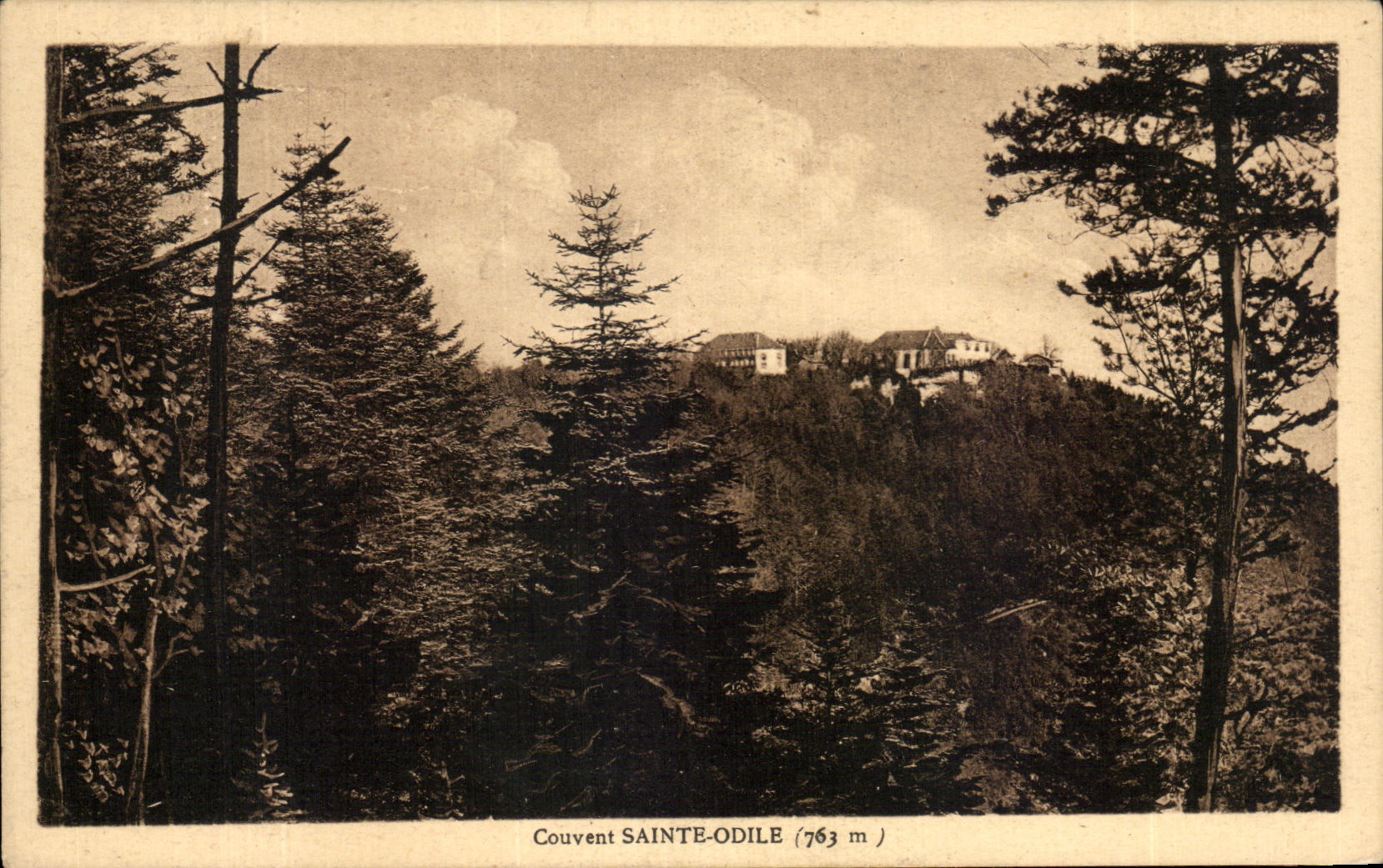 Santo de Odile de la cria de CPA