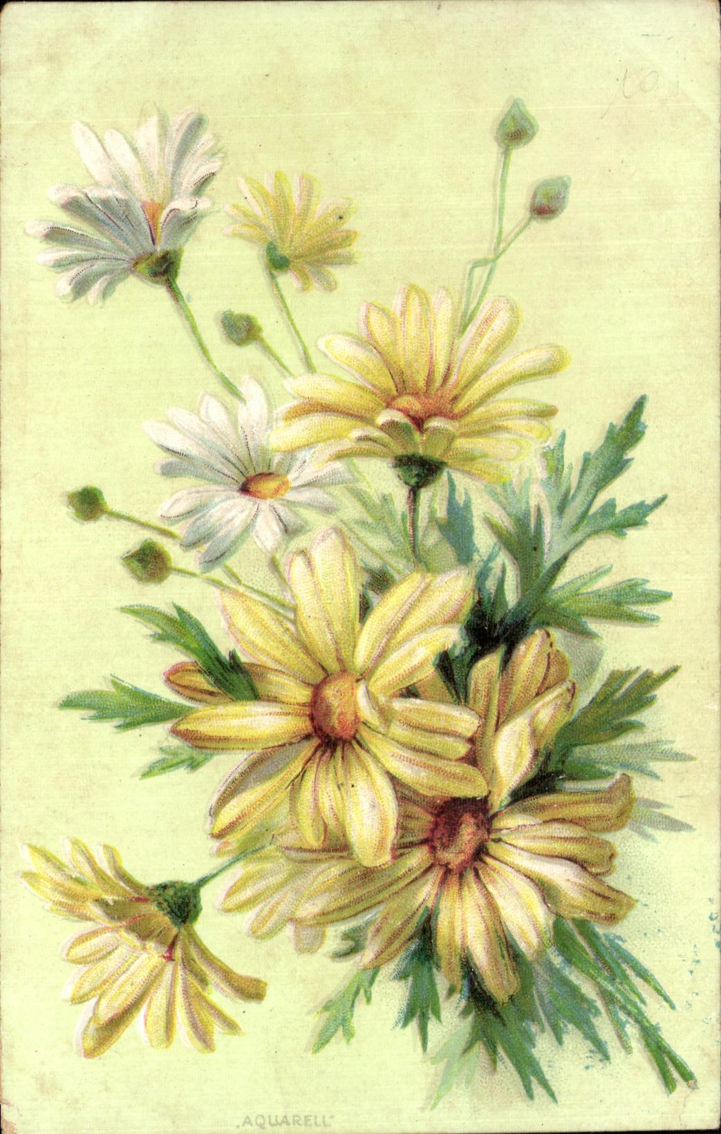 Flores de la fantasia de CPA