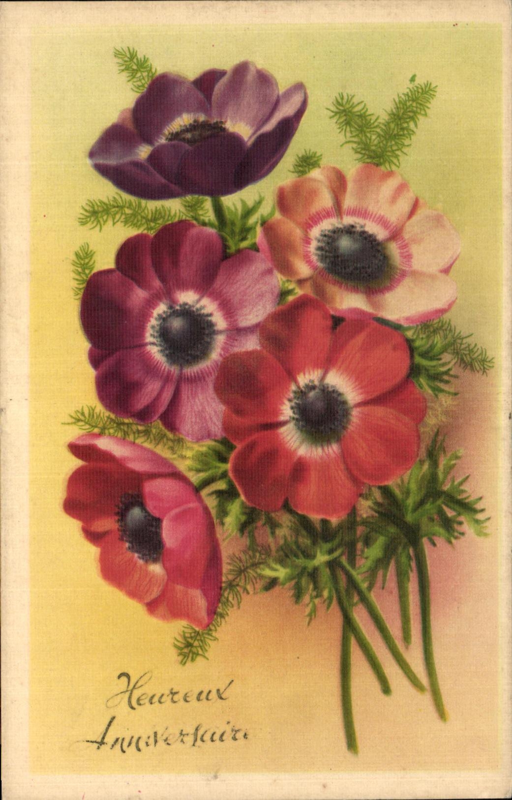 Flores de la fantasia de CPA