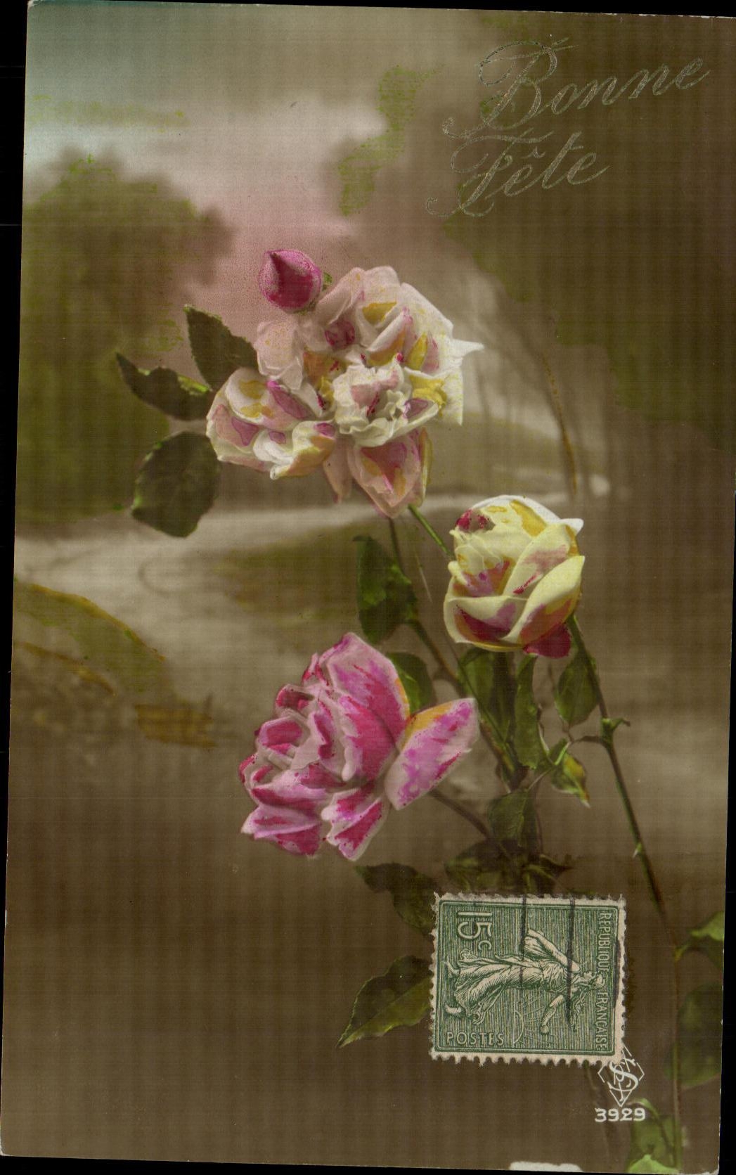 La fantasia de CPA florece rosas