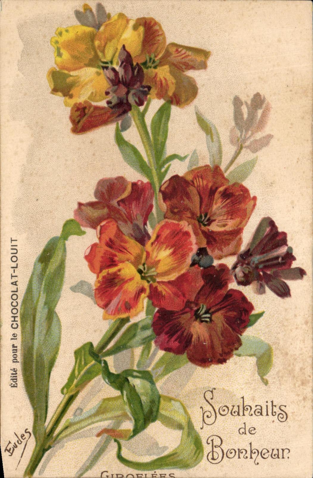 Flores de la fantasia de CPA