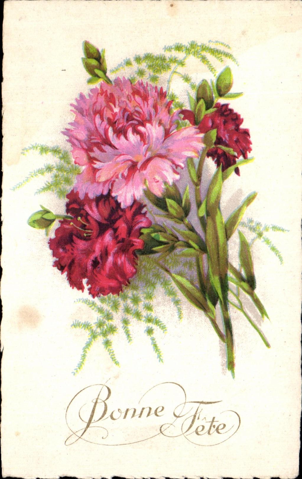 Flores de la fantasia de CPA